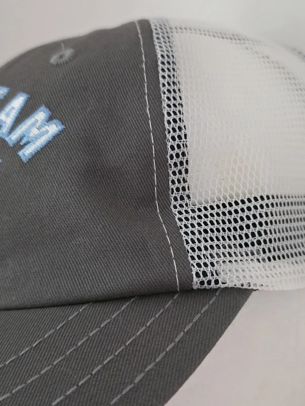 Thomas Rhett Home Team Tour Gray White Blue Snapback Adjustable Concert Hat
